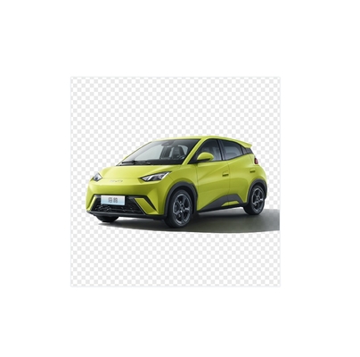 BYD Pure Electric 305KM Compacto coche de familia