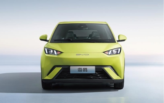 BYD Pure Electric 305KM Compacto coche de familia