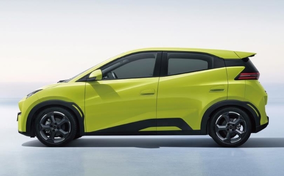 BYD Pure Electric 305KM Compacto coche de familia