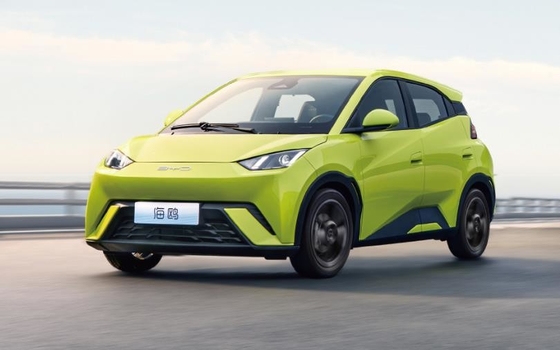 BYD Pure Electric 305KM Compacto coche de familia