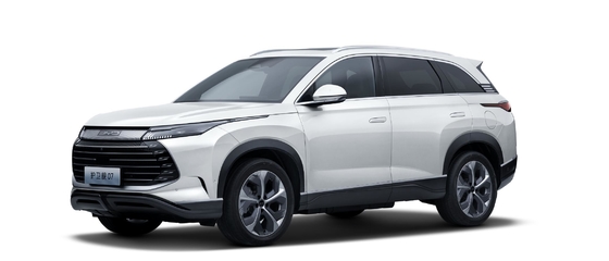 BYD híbrido 175KM con tracción a las cuatro ruedas de tamaño mediano ciudad SUV fragata 07