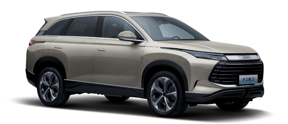 BYD híbrido 175KM con tracción a las cuatro ruedas de tamaño mediano ciudad SUV fragata 07