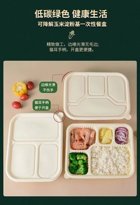 Descomposición, protección del medio ambiente, salud y seguridad, cajas de comida desechables