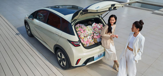 1.5L Cilindrada BYD Seal06 DM-i Edición Liderazgo 120KM