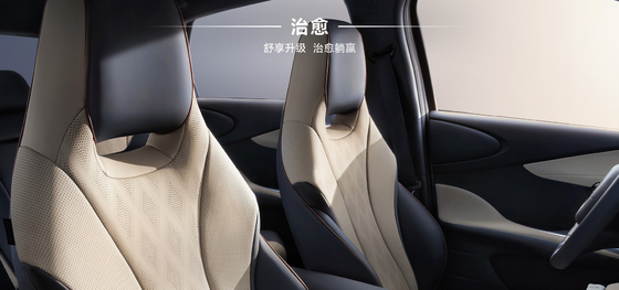 BYD 2025 Dolphin 520km Knight Edición EV
