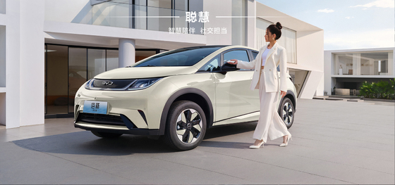 BYD 2025 Dolphin 520km Knight Edición EV