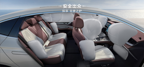 BYD Seal DM-i 121KM Edición líder