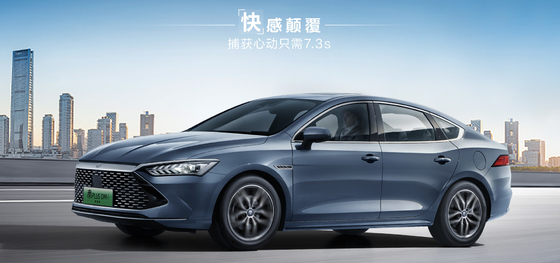 BYD Qin Plus DMI 102km Edición de gloria líder