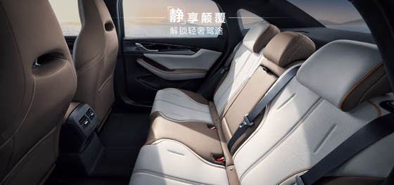 BYD Qin Plus DMI 102km Edición de gloria líder