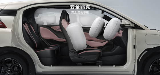 2025 BYD Hayou 305KM