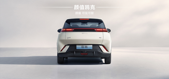2025 BYD Hayou 305KM