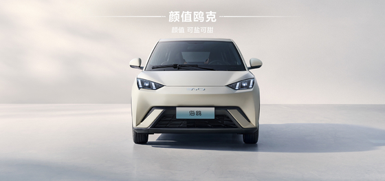 2025 BYD Hayou 305KM