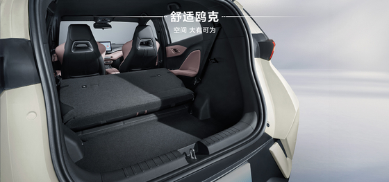 2025 BYD Hayou 305KM