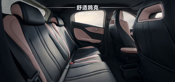 2025 BYD Hayou 305KM