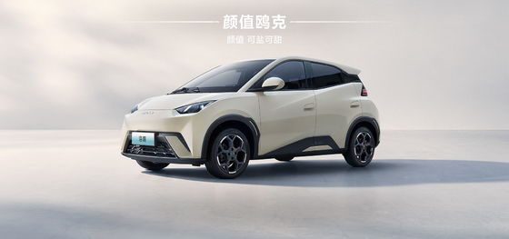2025 BYD Hayou 305KM