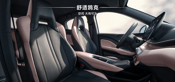 2025 BYD Hayou 305KM