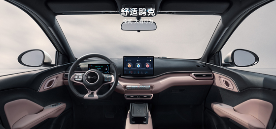 2025 BYD Hayou 305KM