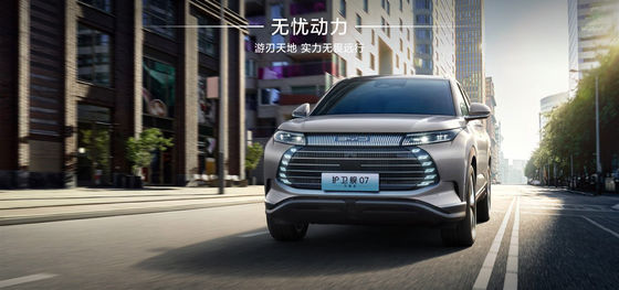 Fregata BYD07 Tipo Elite de 100 km