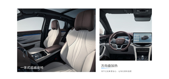 BYD 2025 Song Pro DM-i71KM Navegación Edición Honor