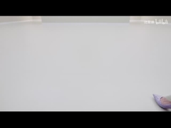 2025 420km Dolphin Edición Activa EV